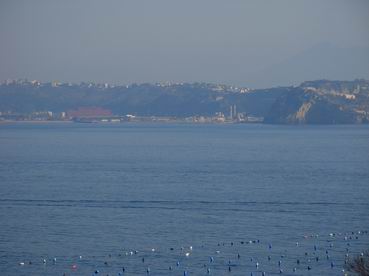 DSCN9487